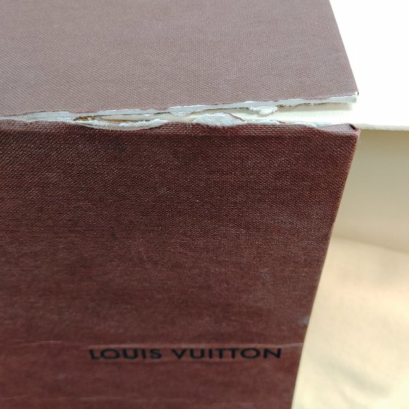 LOUIS VUITTON COPENHAGEN ANKLE BOOTS - Picture 11 of 14